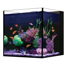 Red Sea Desktop Cube Aquarium - WITHOUT cabinet (R44302)