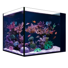 Red Sea Desktop Peninsula Aquarium - OHNE Schrank (R44312)