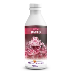 Royal Nature Bacto 1000 ml (RN-5011) >698223<