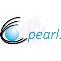 pearl. Motor ohne Gehäuse und Schalter