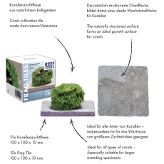 Bild zu Fauna Marin Frag Tiles 10 x 10 x 1 cm 10 Stück (17380)