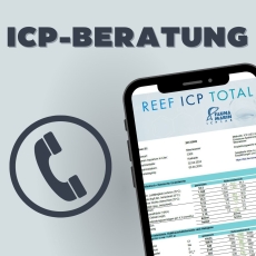 ICP-Beratung 15 Minuten (telefonisch)