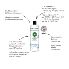 Bild zu Fauna Marin Elementals P² / P2 (Phosphat) 1000 ml  (15110V)
