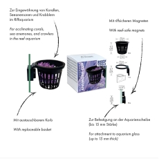 Bild zu Fauna Marin Anemone Cup (30001V)