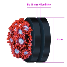 Bild zu Fauna Marin Coral Mount (30009V)