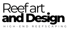 Bild zu Reef Art and Design – professioneller & individueller Riffaufbau