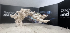 Bild zu Reef Art and Design – professioneller & individueller Riffaufbau