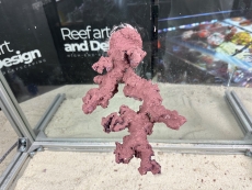 Bild zu Reef Art and Design – professioneller & individueller Riffaufbau