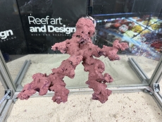 Bild zu Reef Art and Design – professioneller & individueller Riffaufbau