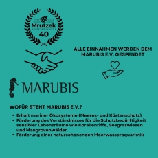 Bild zu Tombola-Los (limitierte Stückzahl / max. 2 Lose pro Kunde)