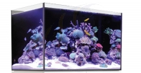 Bild zu Red Sea Reefer G2 300XL (NUR GLASBECKEN ALLEIN/Auf Anfrage) (R42505G2)