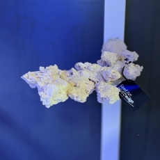 Bild zu Reef Art and Design – Floating Reef Rock double magnet (FRR2_002)