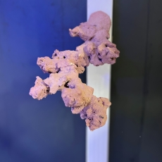 Bild zu Reef Art and Design – Floating Reef Rock Einzelmagnet (FRR1_001)