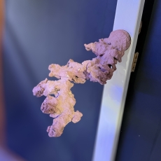 Bild zu Reef Art and Design – Floating Reef Rock Einzelmagnet (FRR1_001)