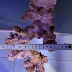 Bild zu Reef Art and Design – Floating Reef Rock Einzelmagnet (FRR1_001)