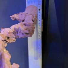 Bild zu Reef Art and Design – Floating Reef Rock Einzelmagnet (FRR1_001)