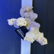 Bild zu Reef Art and Design – Floating Reef Rock Einzelmagnet (FRR1_003)