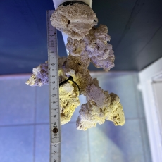 Bild zu Reef Art and Design – Floating Reef Rock Einzelmagnet (FRR1_003)