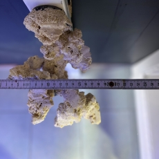 Bild zu Reef Art and Design – Floating Reef Rock Einzelmagnet (FRR1_003)