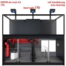 Bild zu Red Sea REEFER™ 750 G3 Deluxe - Schwarz (inklusive 3 X RL170 & Befestigungsarme) (R45177)