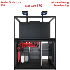 Bild zu Red Sea REEFER™ S-550 G3 Deluxe - Schwarz (inklusive 2 X RL170S & Befestigungsarme) (R45184)