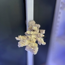 Bild zu Reef Art and Design – Floating Reef Rock Doppelmagnet (FRR2_003) linksausrichtung (Beispielbild)