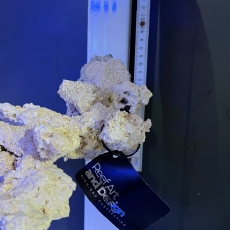 Bild zu Reef Art and Design – Floating Reef Rock Doppelmagnet (FRR2_003) linksausrichtung (Beispielbild)