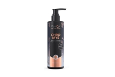 Bild zu Nyos Chromys 100 ml (WC-7233)