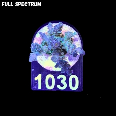 Bild zu SciReef Acropora kenti 