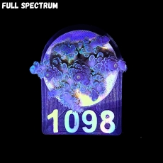 Bild zu SciReef Acropora kenti 