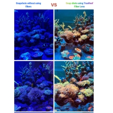 Bild zu Maxspect TrueReef Filter Lens für IPhones - Gouda Cheese (M-TFLG)