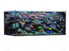 Bild zu Aqua Medic Armatus 250 NUR Glasbecken (511.014-7)