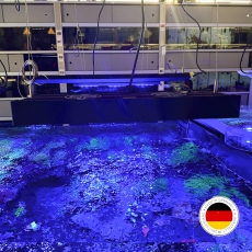 Bild zu Aqua Biotica 3D Blendschutz für Reef Factory Reef Flare M (338mm / B-Ware)