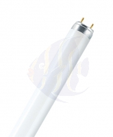 Osram T8 LF865 daylight 58 W