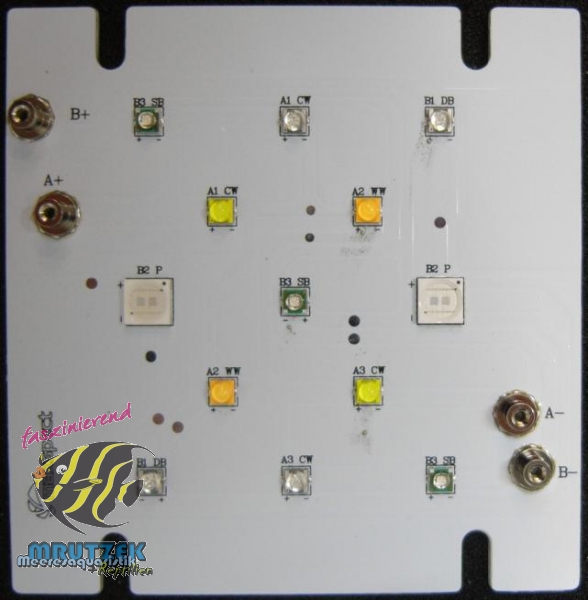 r420r led www