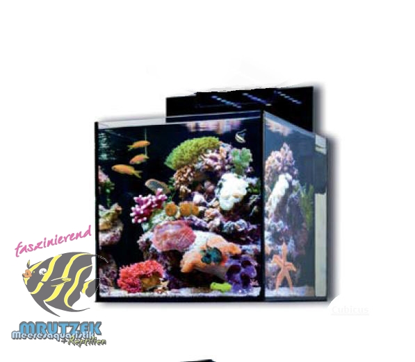 aqua medic cubicus becken without technc 570 00 7 technc
