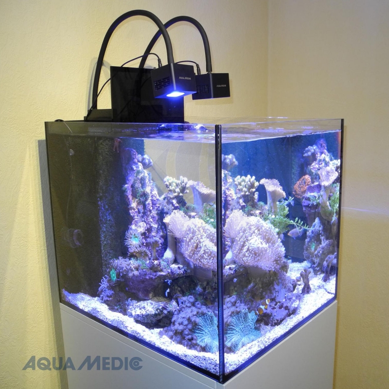Aqua Medic Cubicus CF Qube weiß (571.20) - Mrutzek Meeresaquaristik GmbH