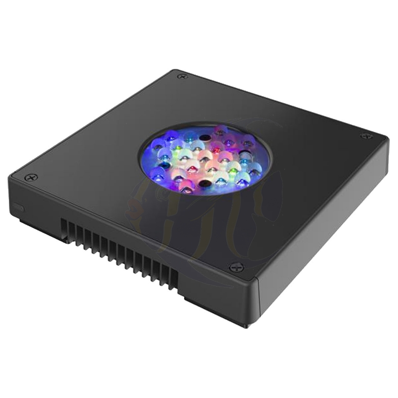ecotech marine radion xr15w