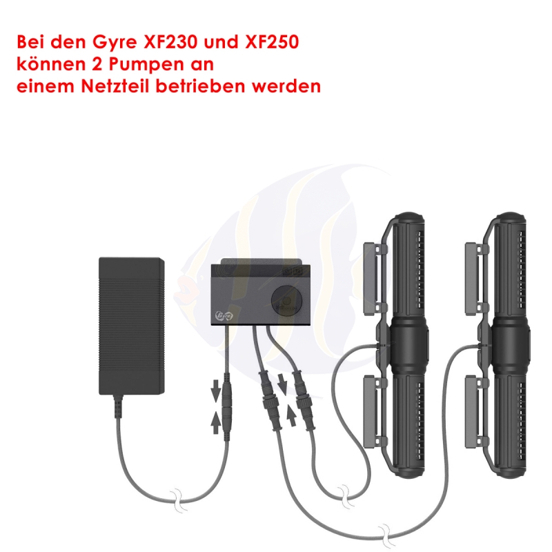 maxspect gyre xf 230