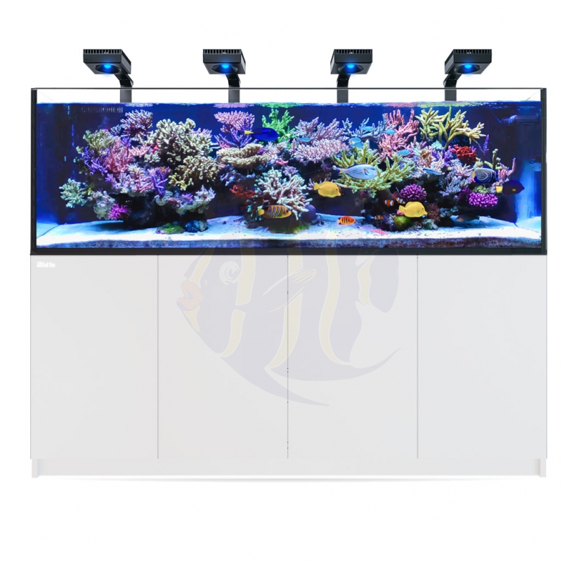 Red Sea Reefer 3xl 900 Deluxe System Weiss 4 X Rl 90 Led Mit Halterung R Mrutzek Meeresaquaristik Gmbh