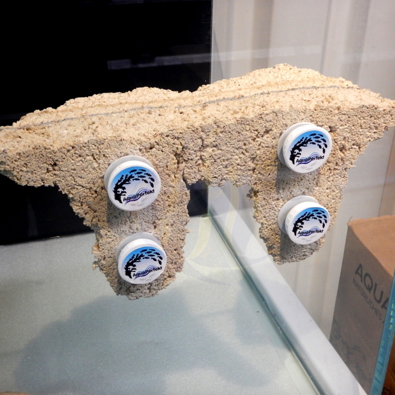 AquaCeramic XL Riffplatte mit 4 (AP9018