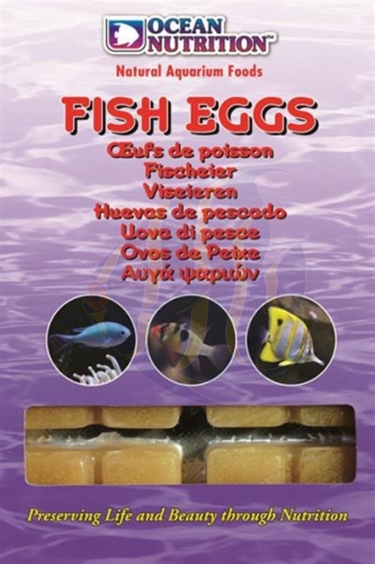 Ocean Nutrition Frozen Marine Fish Eggs 100 gr (153080) - Mrutzek  Meeresaquaristik GmbH