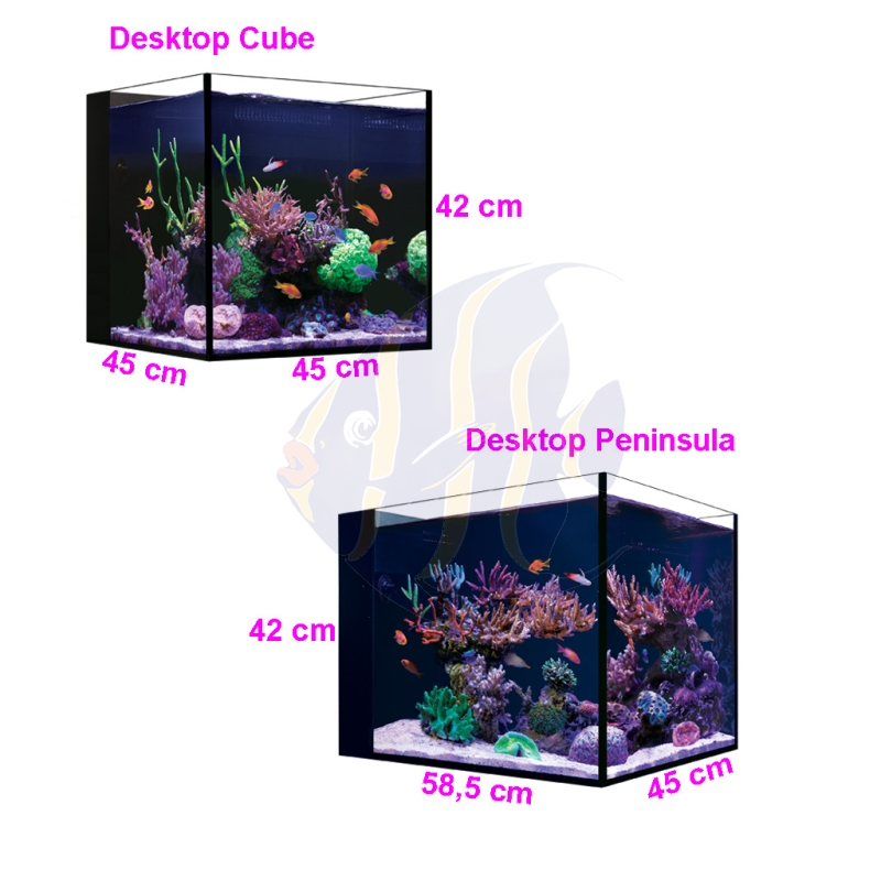 Red Sea Desktop Cube Aquarium - Ohne Unterschrank aquaPro2000