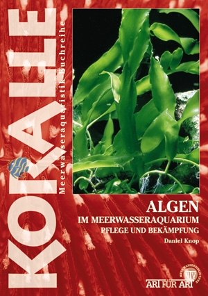 Beleuchtung algenrefugium Beleuchtung algenrefugium