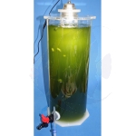 KnePo Planktonreaktor Luftbetrieben 6 Liter mit Leuchte (PLL-L-150-400) KnePo Planktonreaktor Luftbetrieben 6 Liter mit Leuchte (PLL-L-150-400)