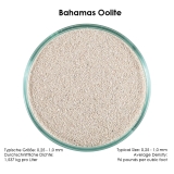 CaribSea Arag-Alive Bahamas Oolite Sand 0,25-1,0 mm 9,07 kg #00793 (12410) CaribSea Arag-Alive Bahamas Oolite Sand 0,25-1,0 mm 9,07 kg #00793 (12410)